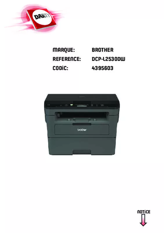 Mode d'emploi BROTHER DCP-L2530DW