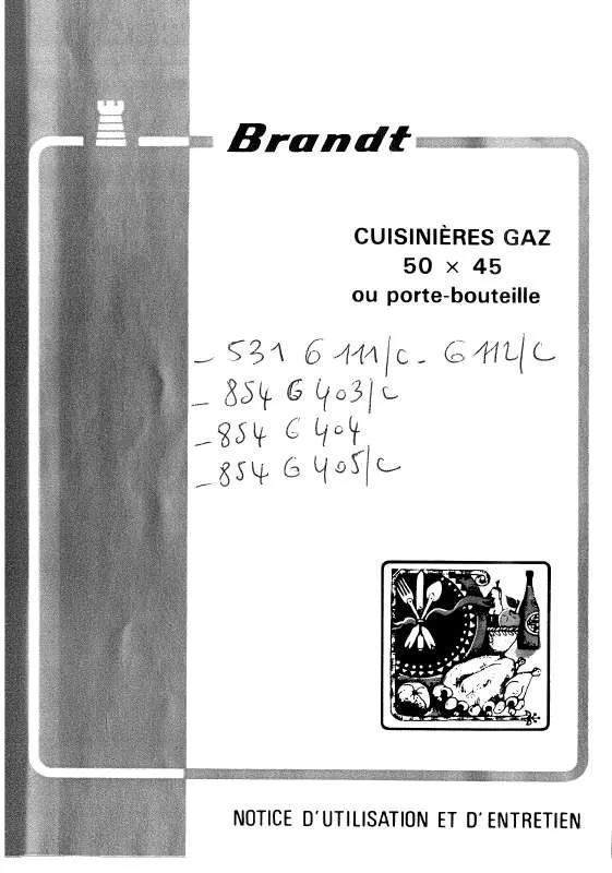 Mode d'emploi BRANDT 531G11