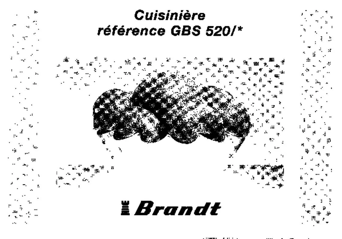 Mode d'emploi BRANDT GBS520