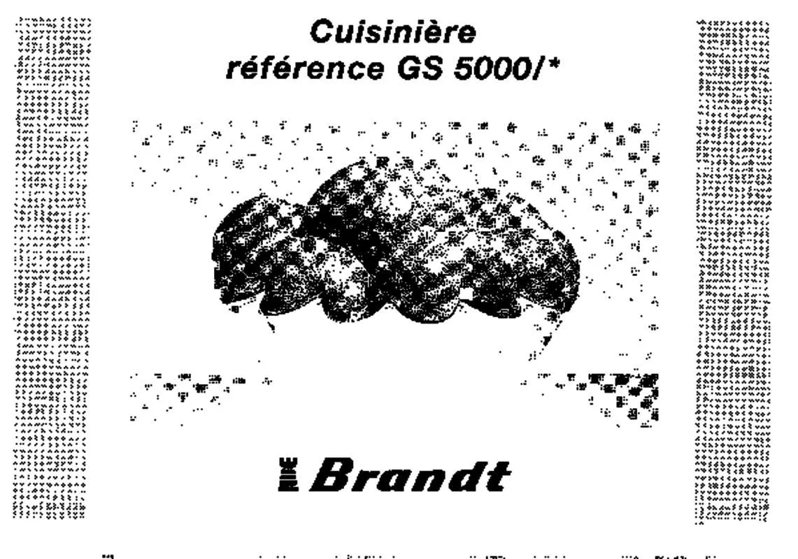 Mode d'emploi BRANDT GS5000