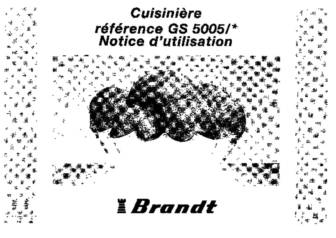 Mode d'emploi BRANDT GS5005