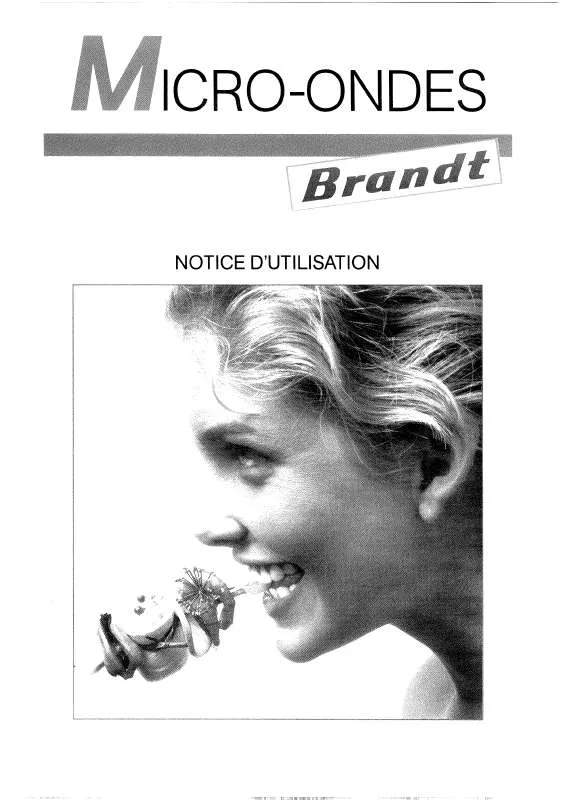 Mode d'emploi BRANDT MTG250