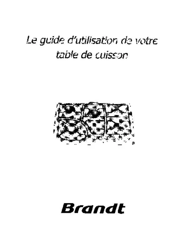 Mode d'emploi BRANDT TE270XF1