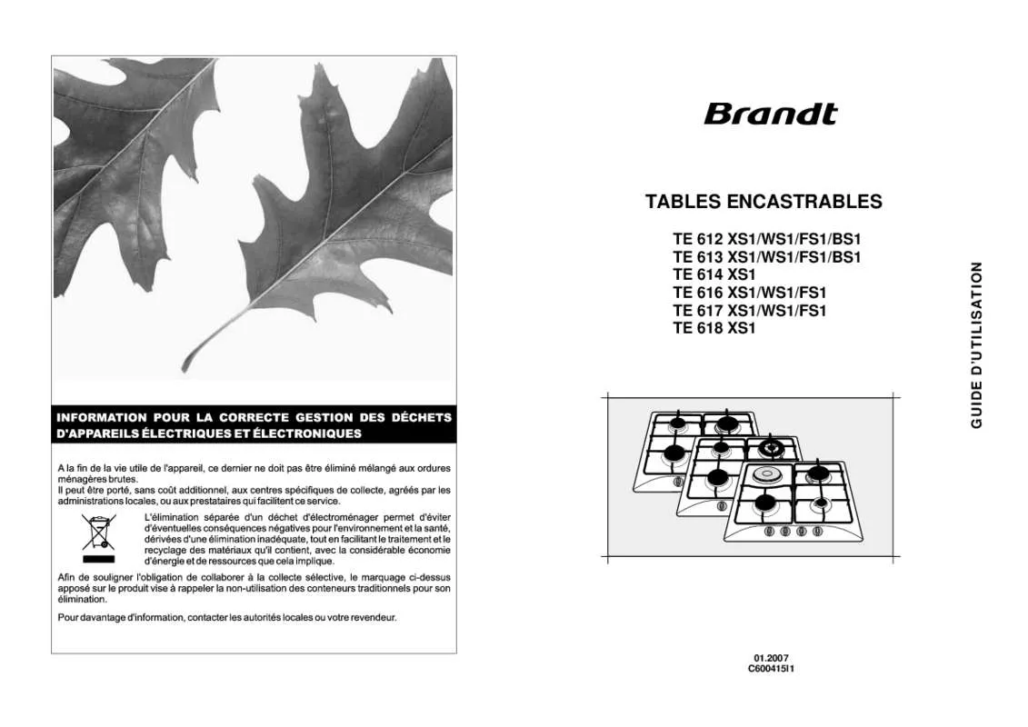 Mode d'emploi BRANDT TE612BS1