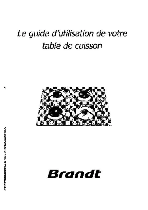 Mode d'emploi BRANDT TG210WS1