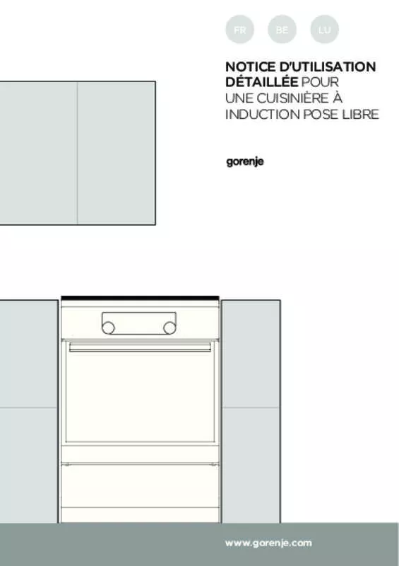 Mode d'emploi GORENJE EIT6351XPD