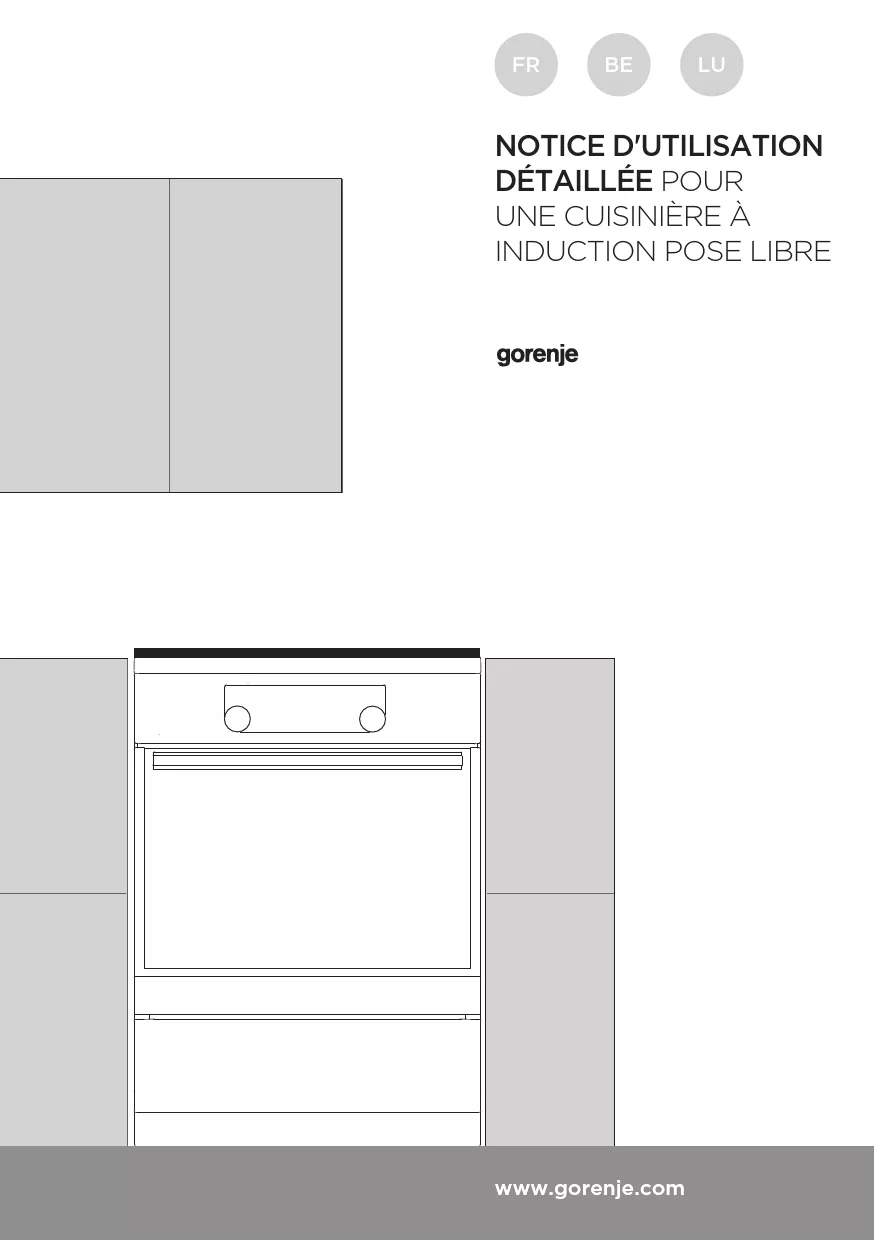 Mode d'emploi GORENJE EIT6355XPD