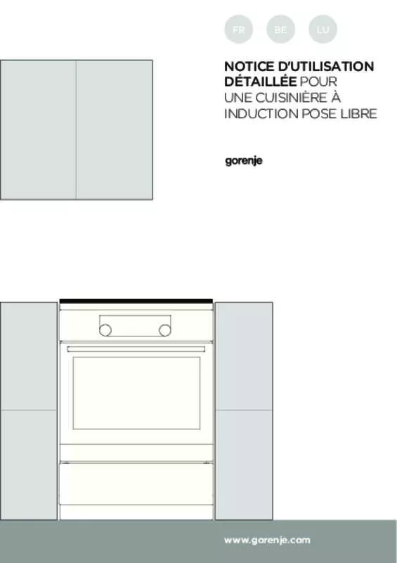 Mode d'emploi GORENJE EIT6356XPD