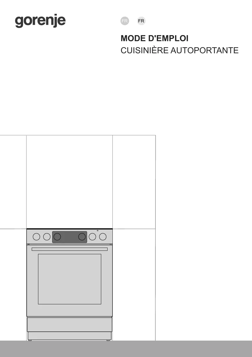 Mode d'emploi GORENJE GEC5C41SG