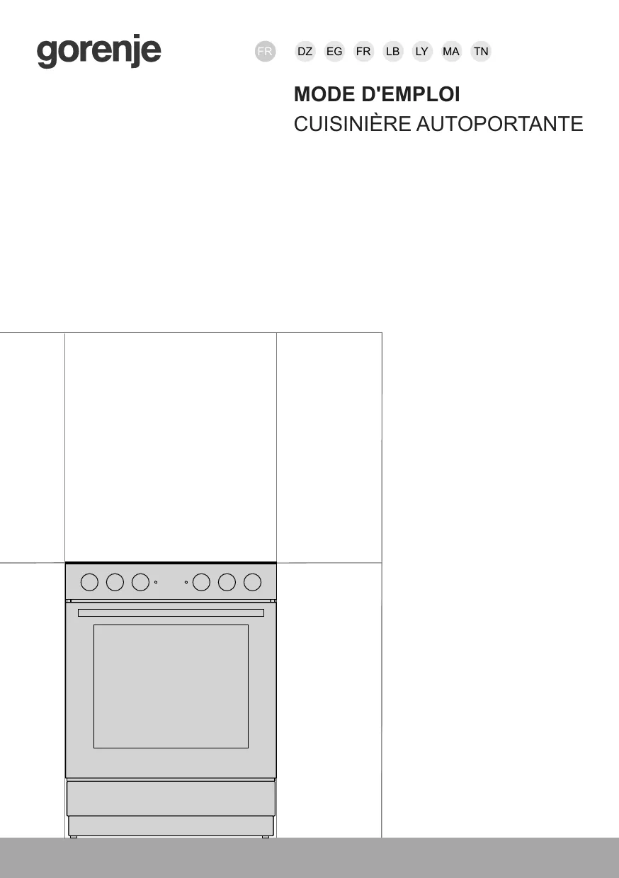 Mode d'emploi GORENJE GEC6A11SG