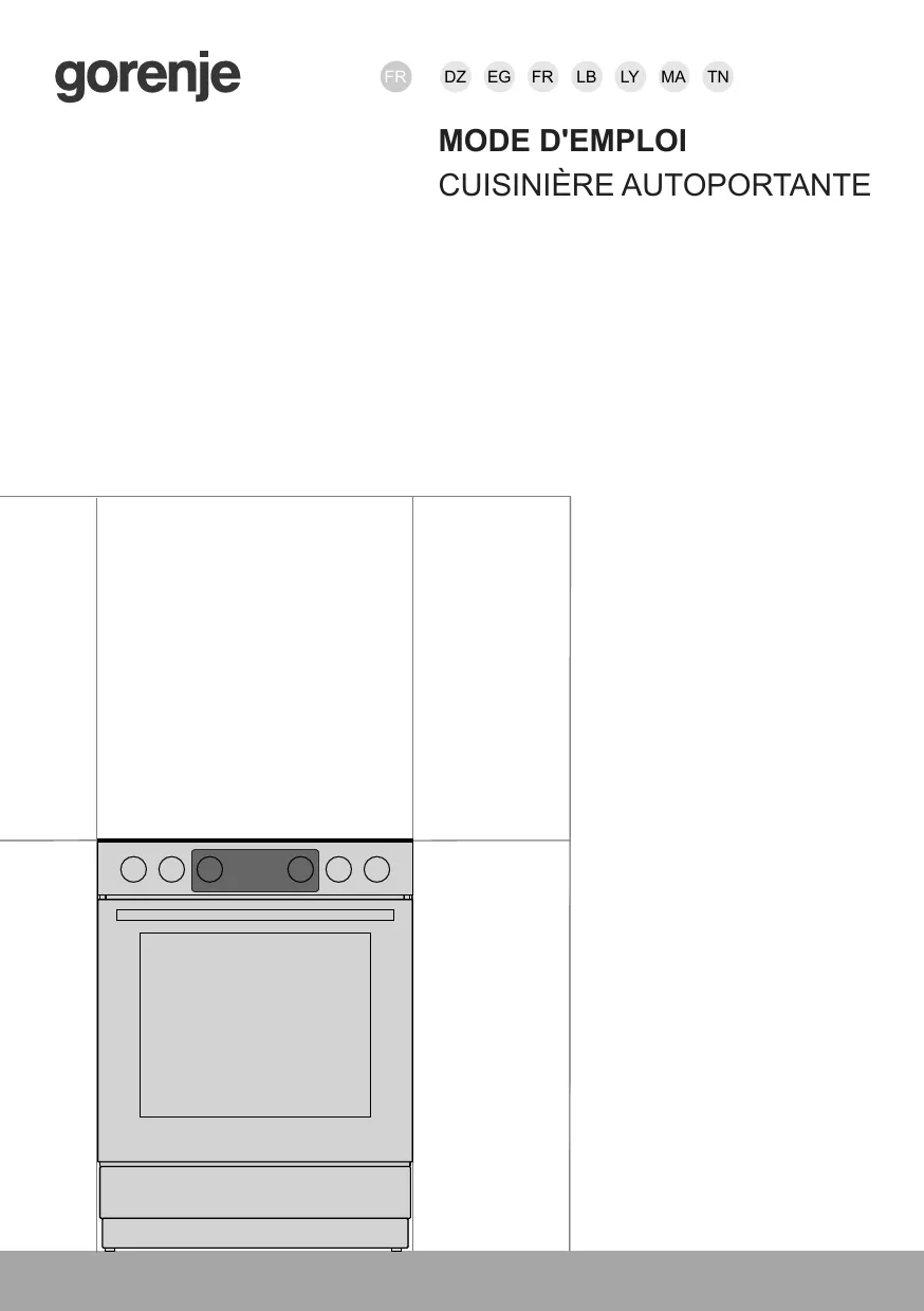 Mode d'emploi GORENJE GK6C62XA