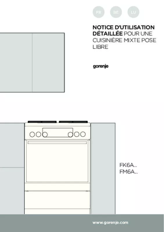 Mode d'emploi GORENJE K6352XA