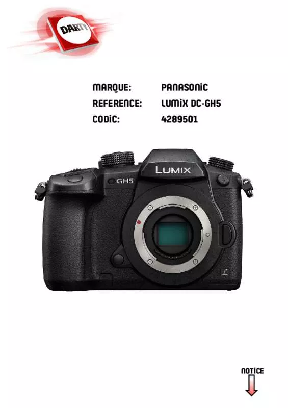 Mode d'emploi PANASONIC DC-GH5S