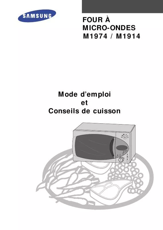 Mode d'emploi SAMSUNG M1914