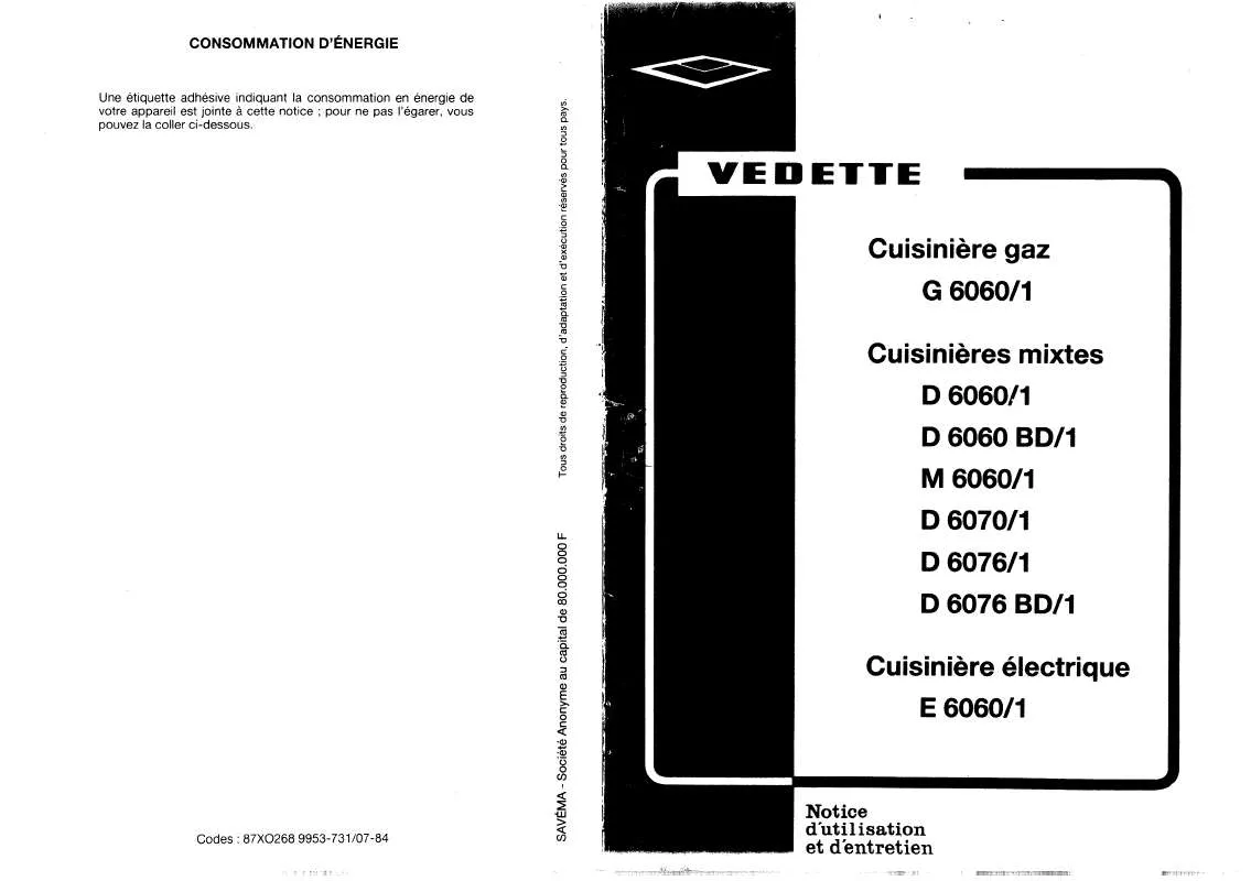 Mode d'emploi VEDETTE D6060